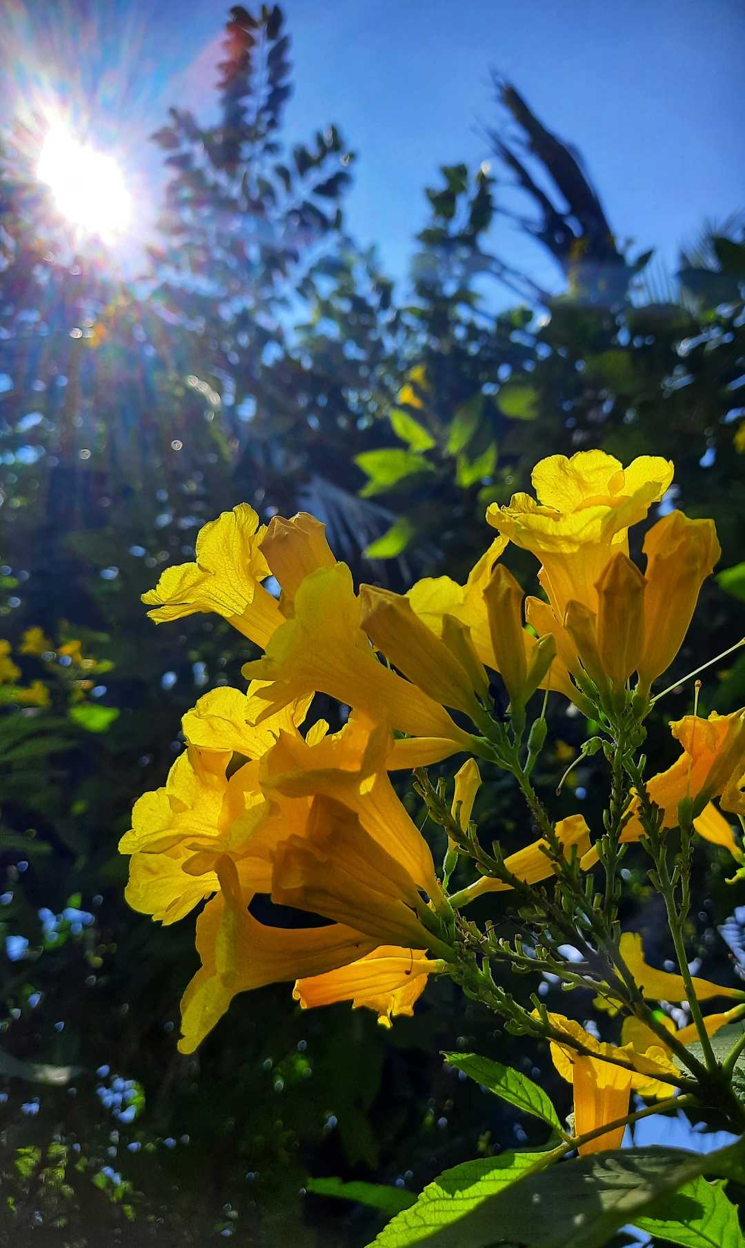 Natural photography 