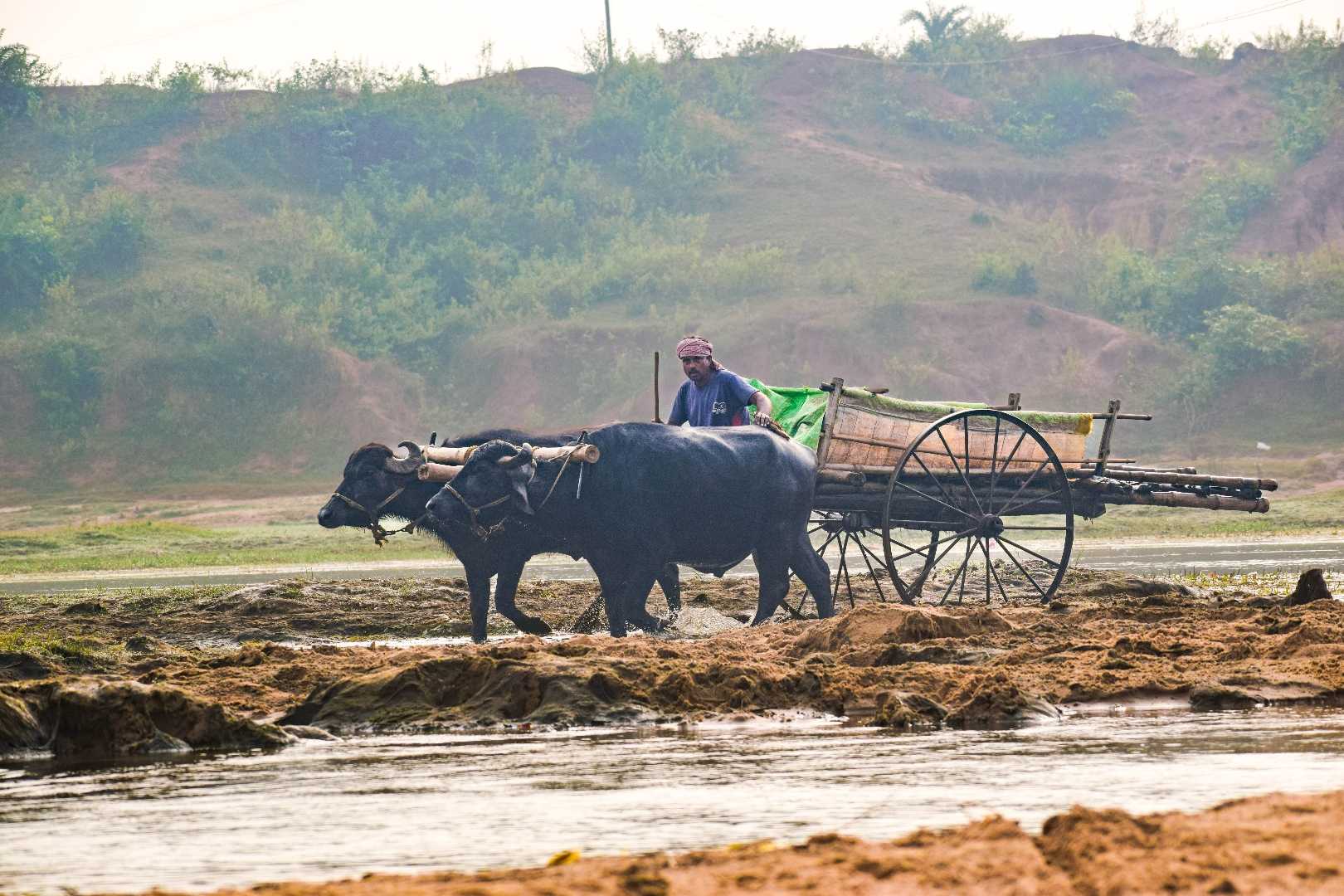 village life 
