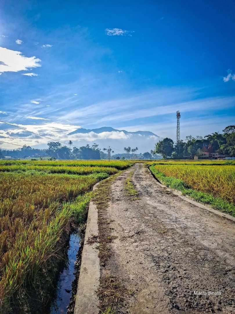 Berselimut awan