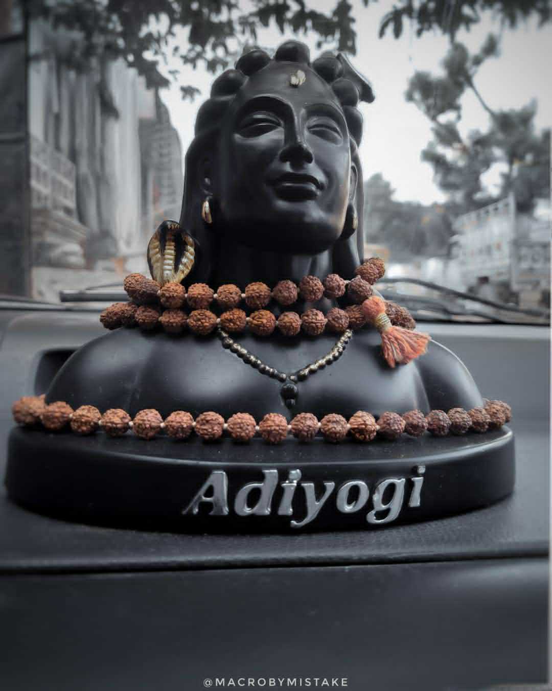 adiyogi nath 