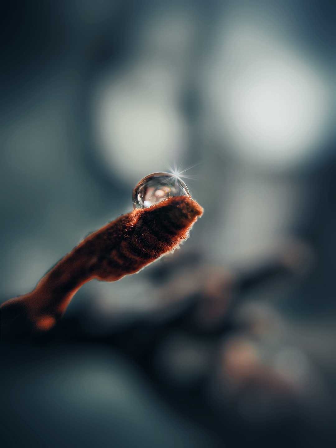 drop 