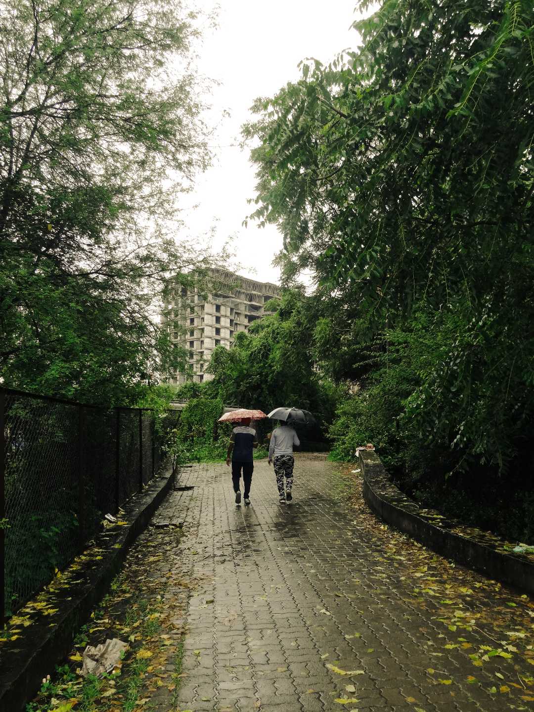 Morning walking in rain hits different...