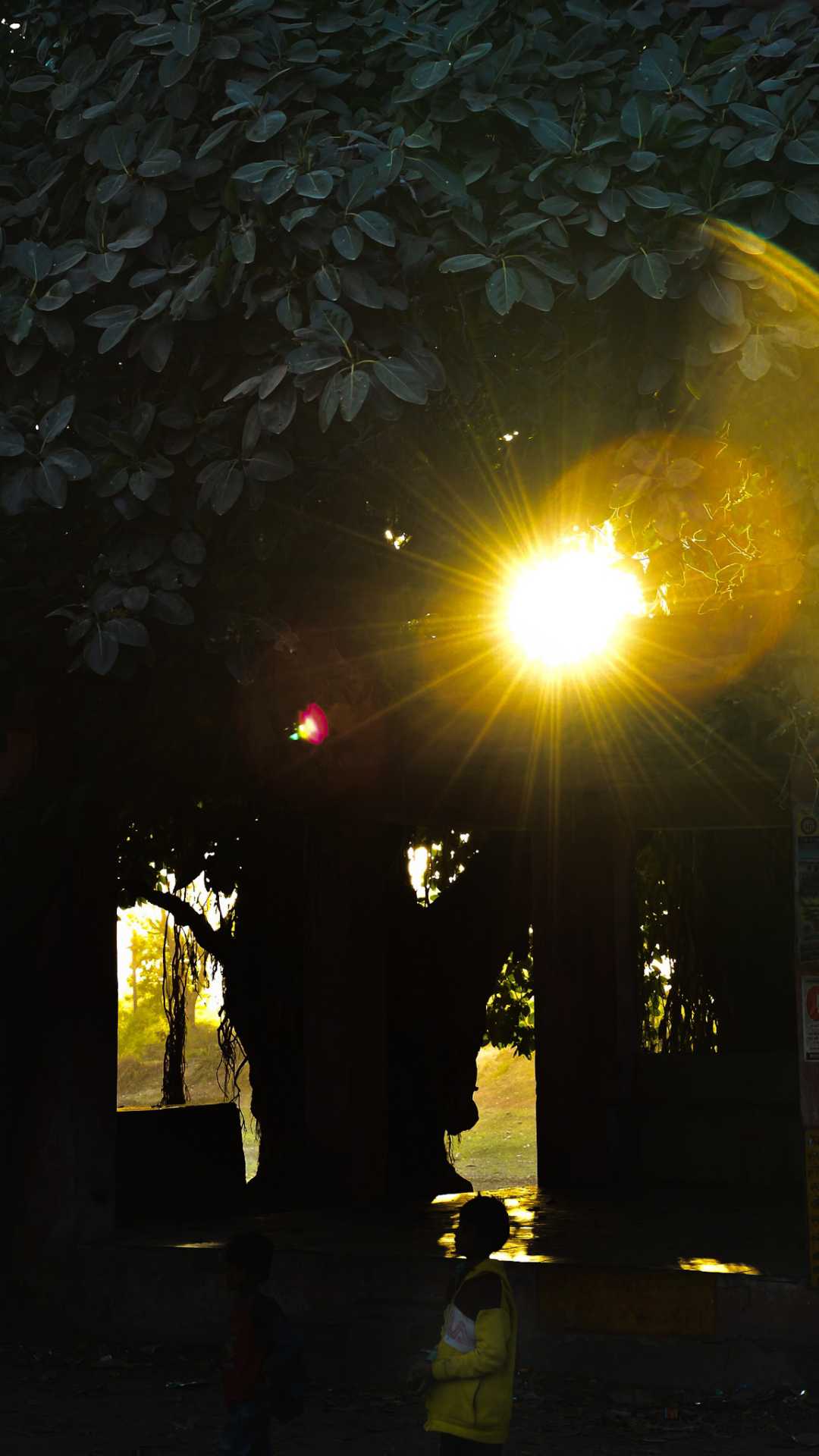 let there be light