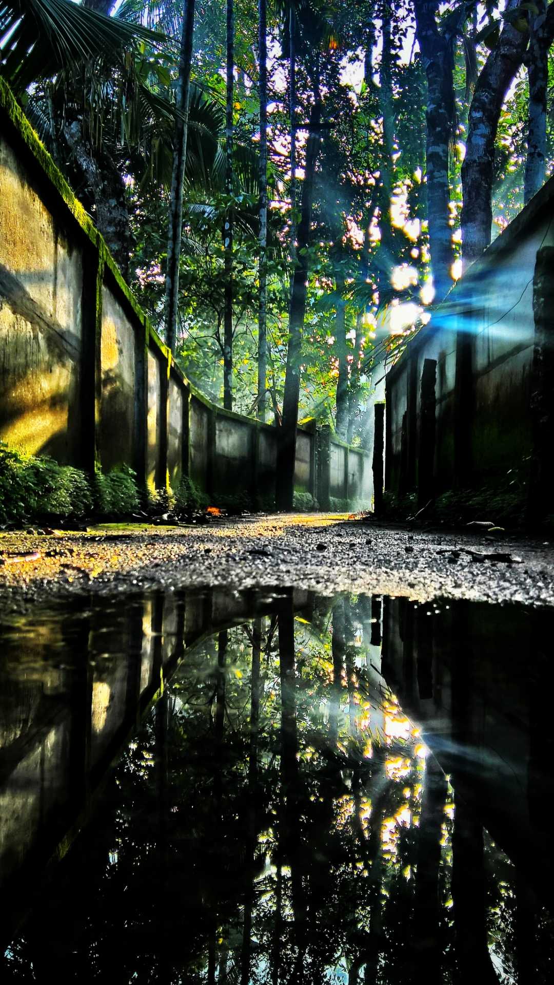Reflection | Rural Village 📸