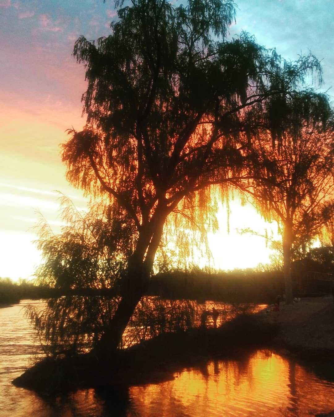 atardecer. 😍