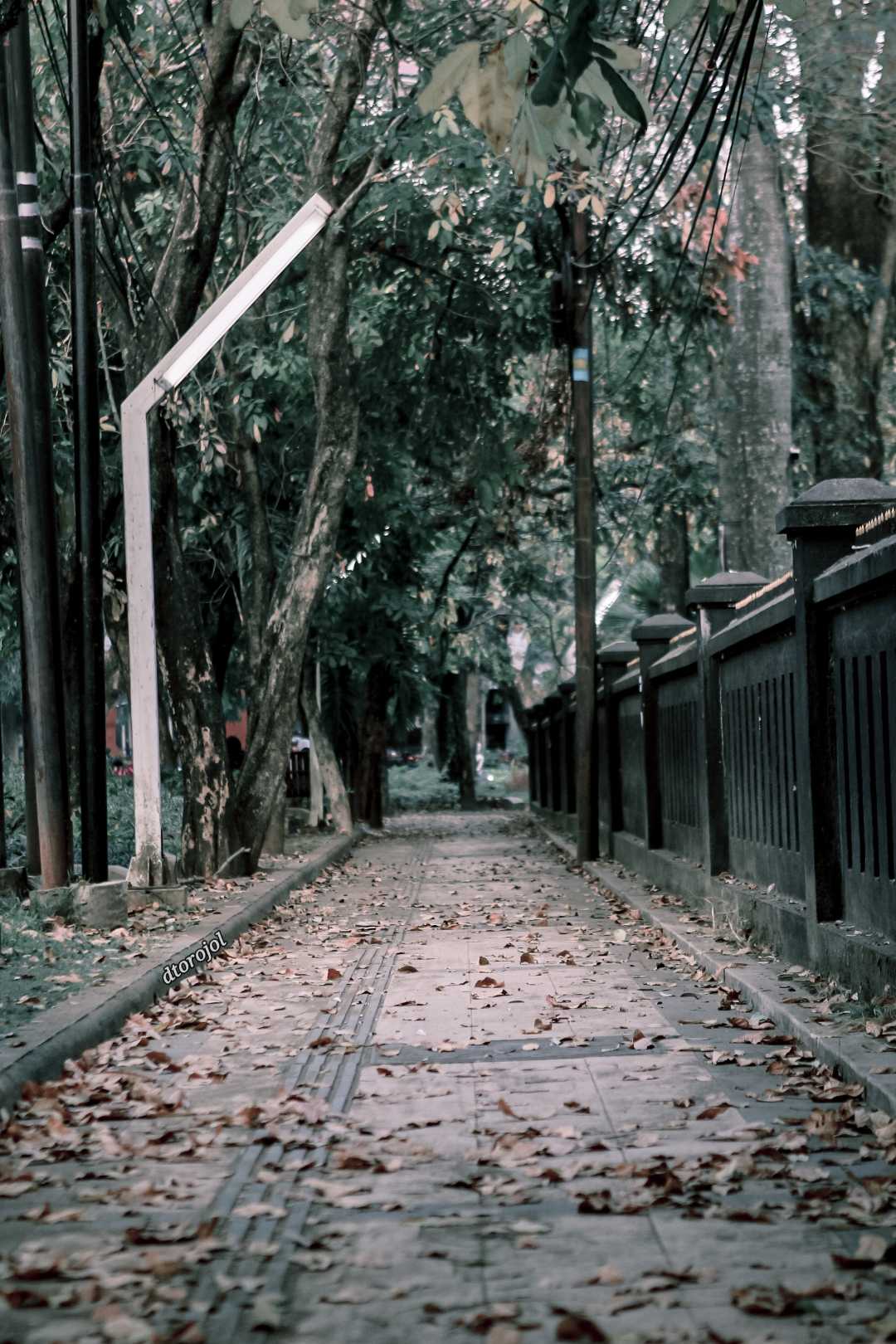 pedestrian di jalan Veteran, Malang, Jawa Timur