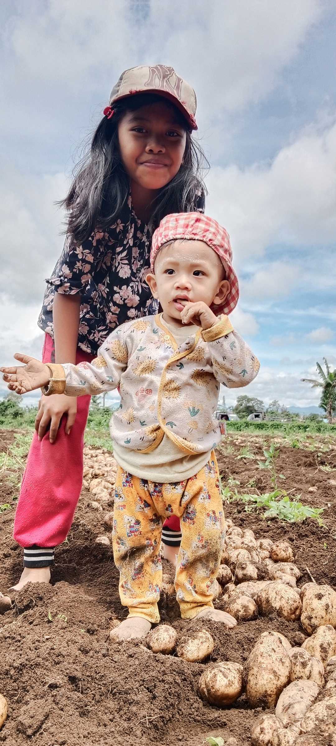 ladang/kebun