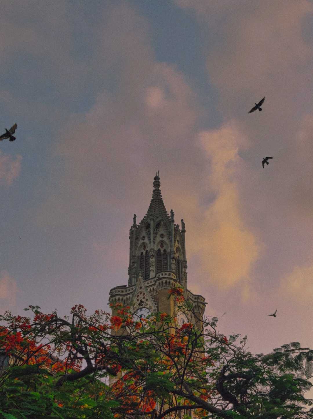 Another view of Rajabai Clock Tower 