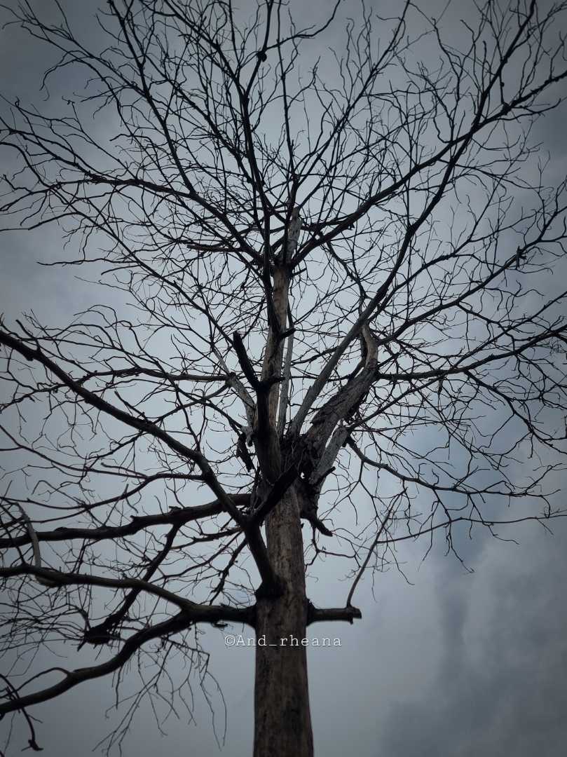 FALL