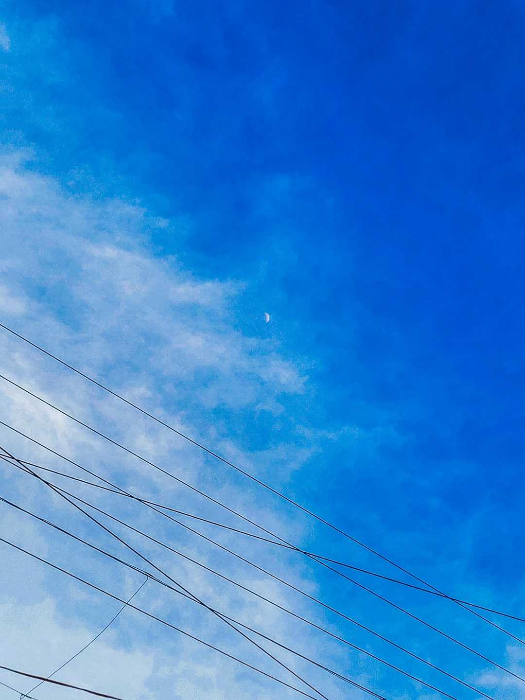 🌙