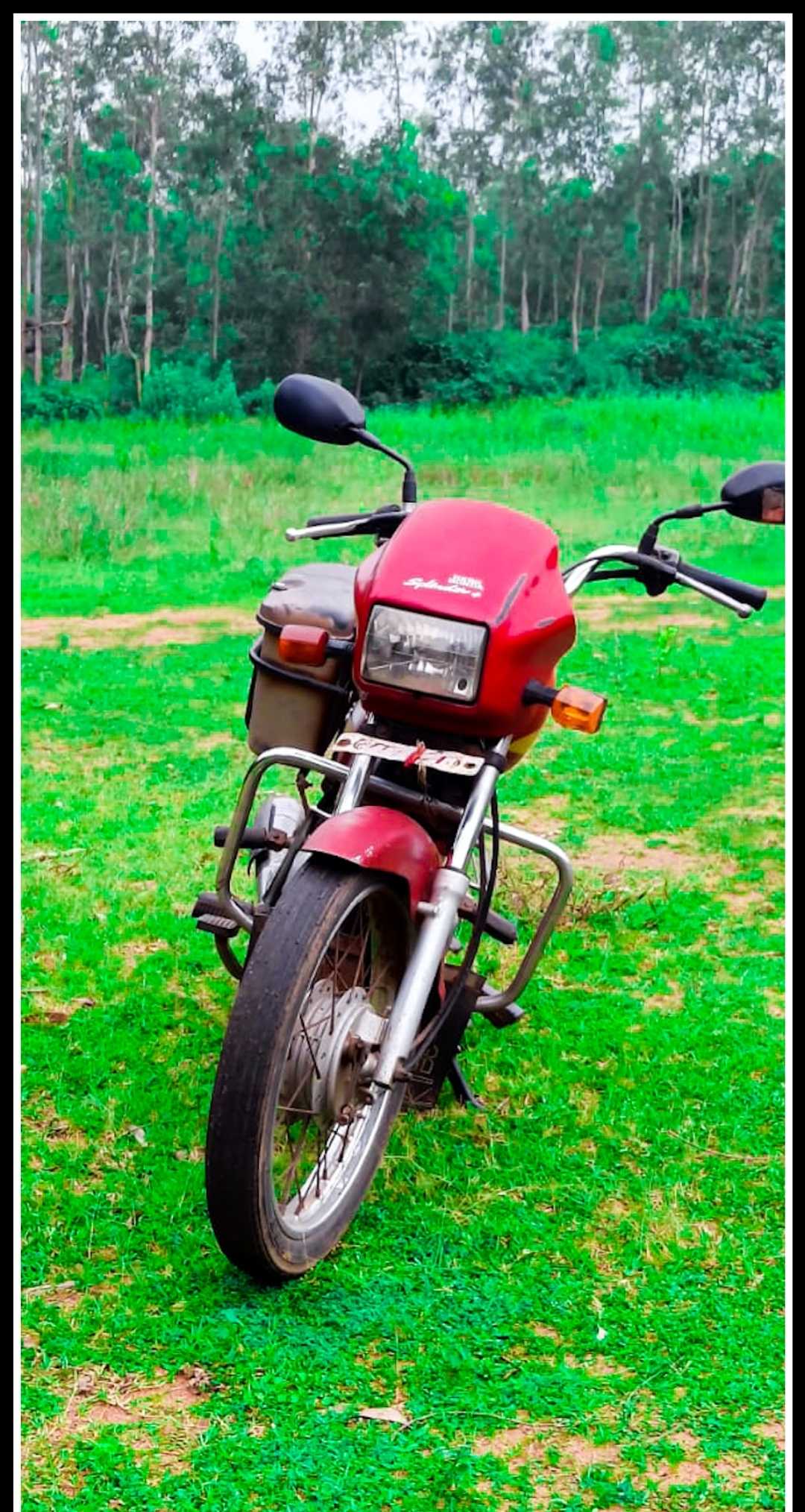 My first love 