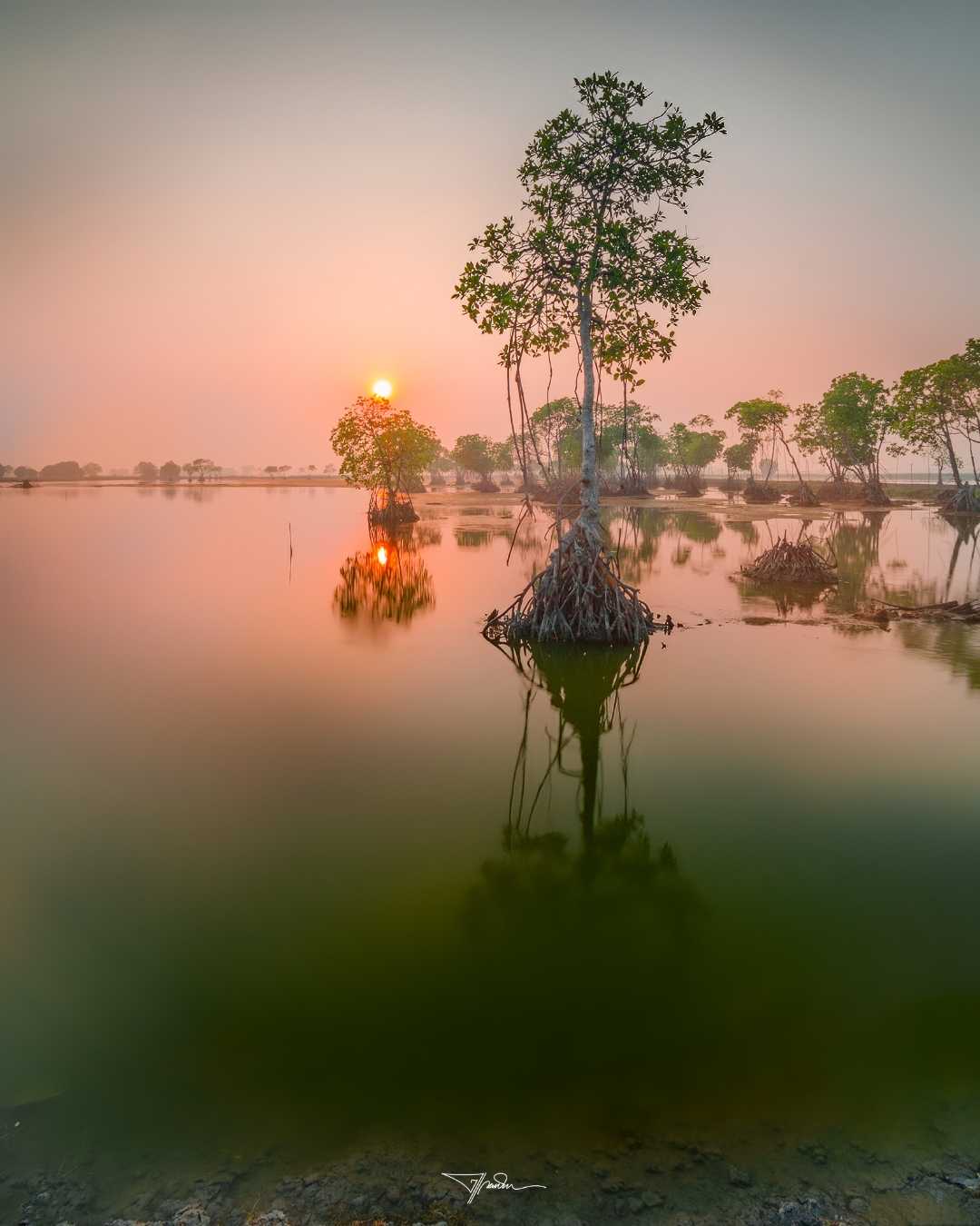 kmpung sedari