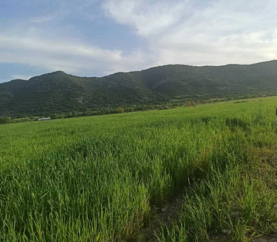 doğanın güzelliği ❤️