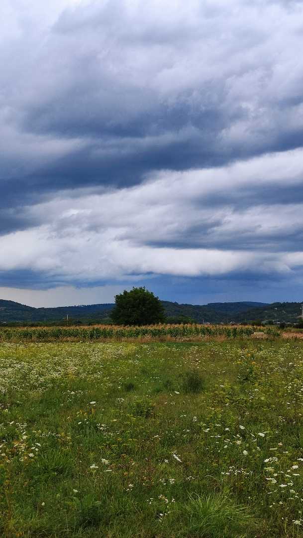 Clouds