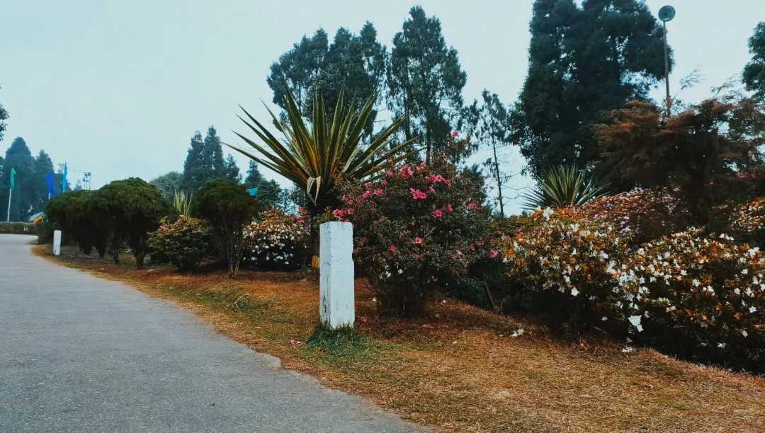 Flowers Garden At Delo Park