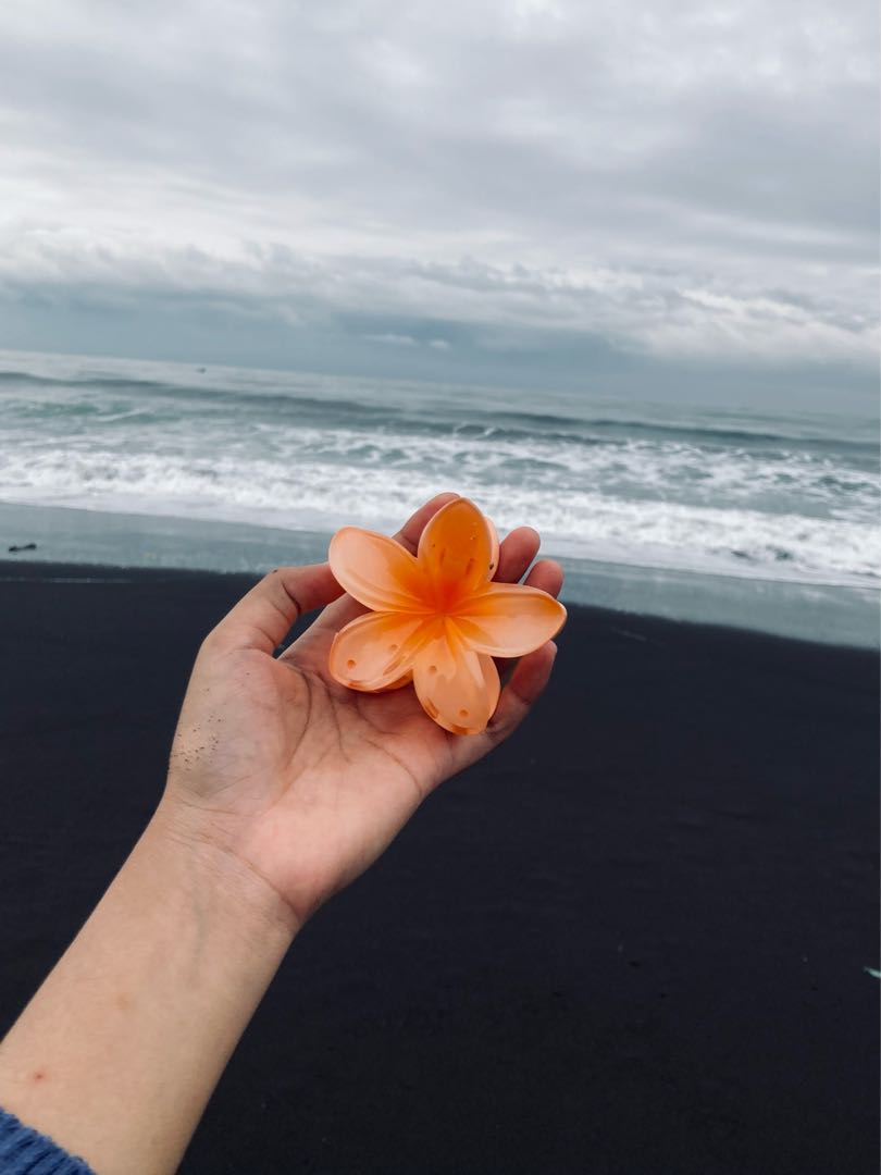 Pilihan