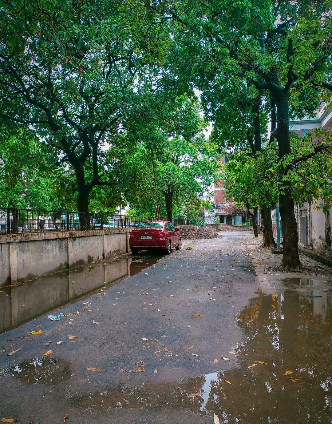Rain 