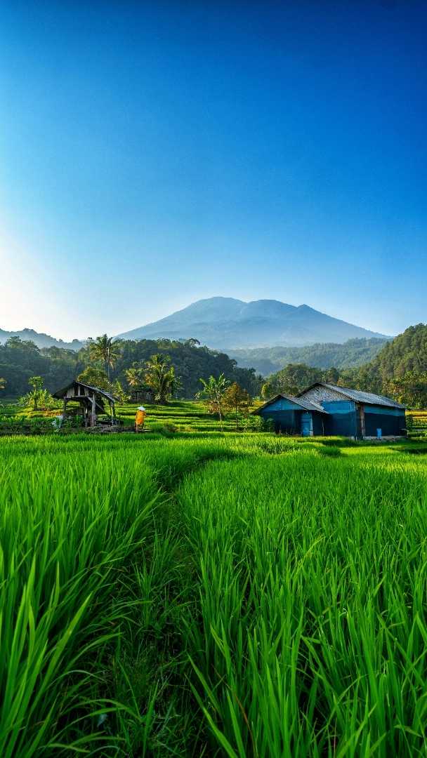 BANTAR AGUNG