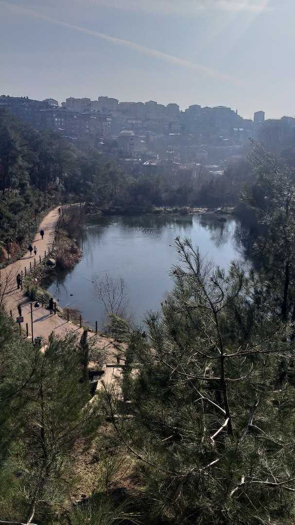 from heights