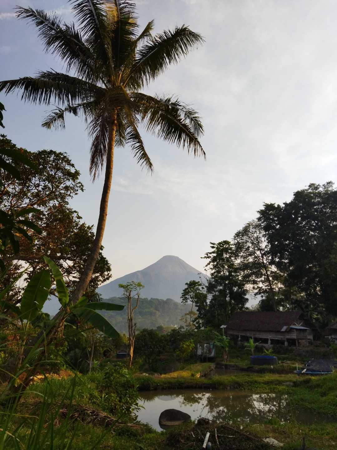Beauty of Trawas