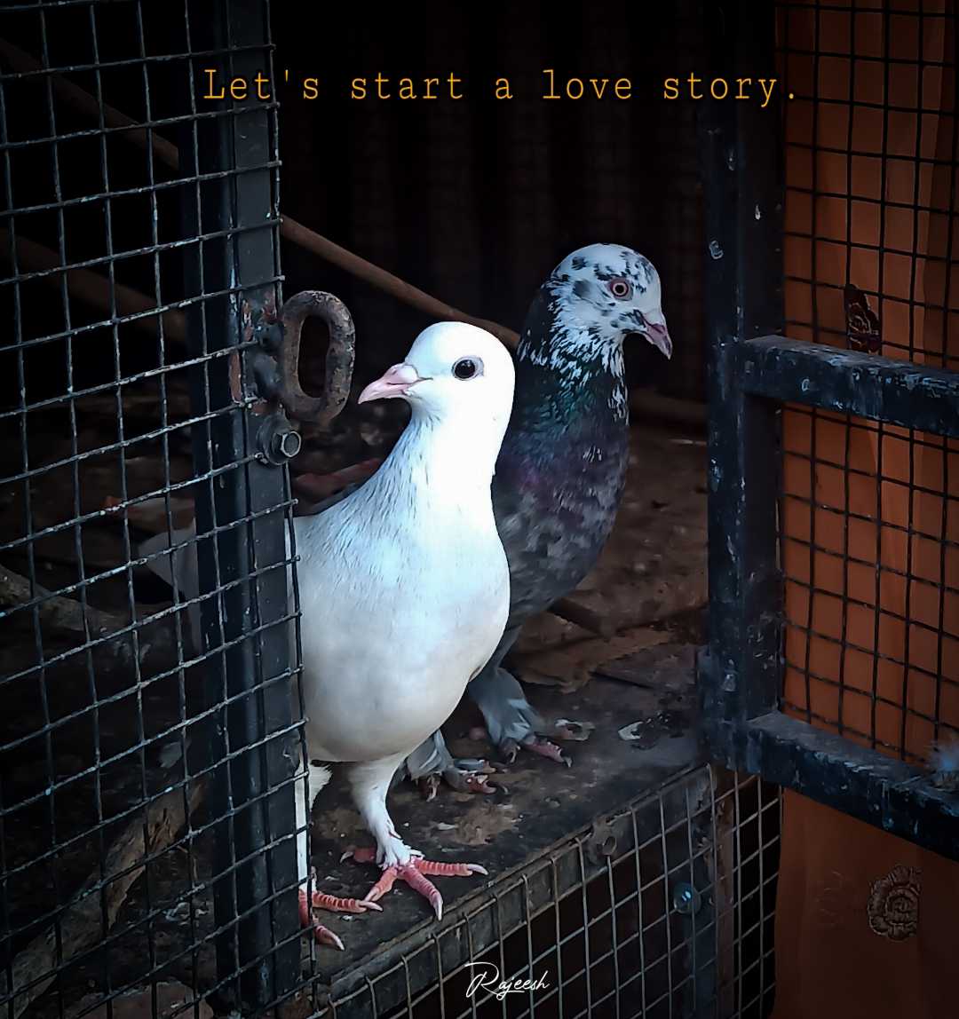 Love story💝