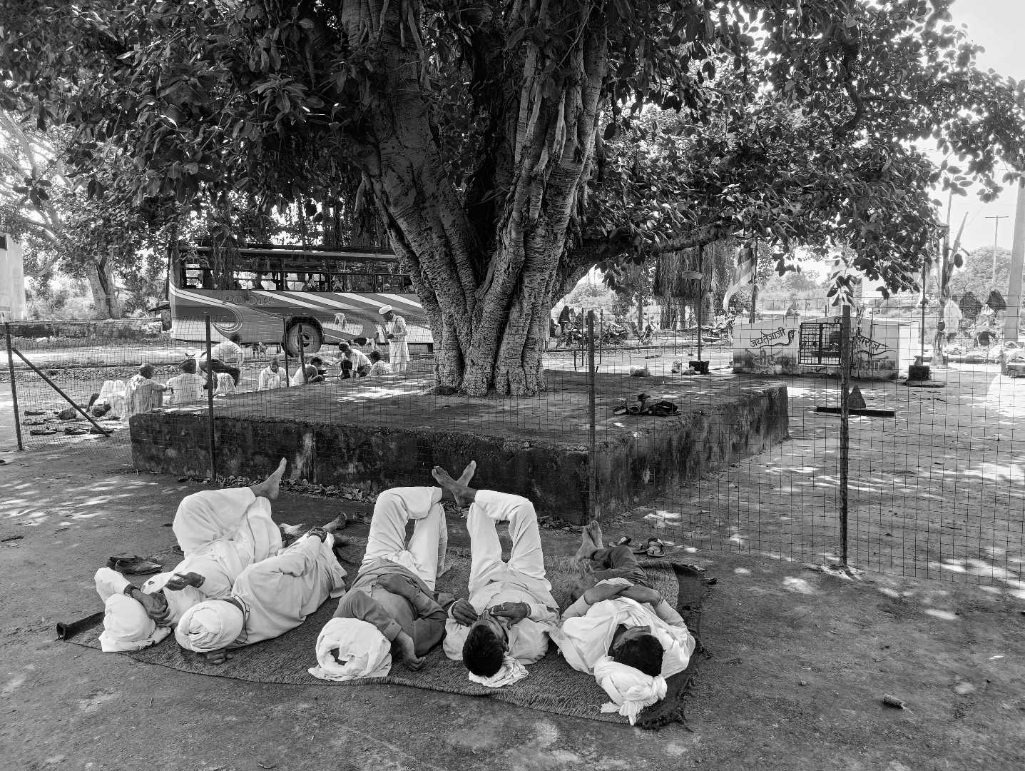  मित्रता का प्रतीक यह 5 मित्र 