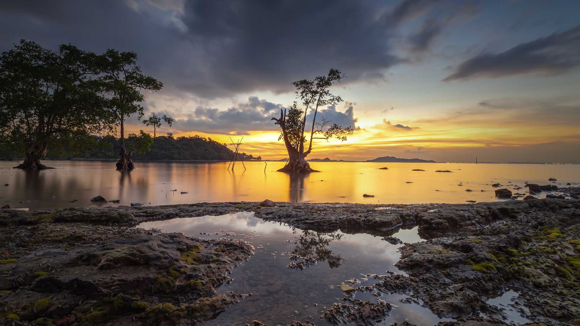 Sunset 