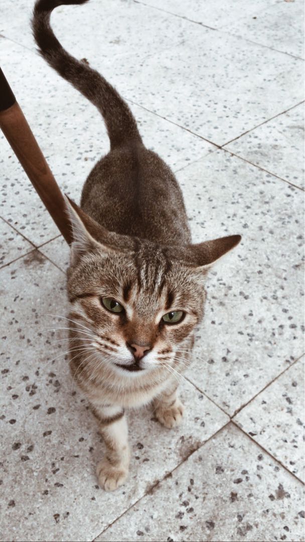 do not look at me like that