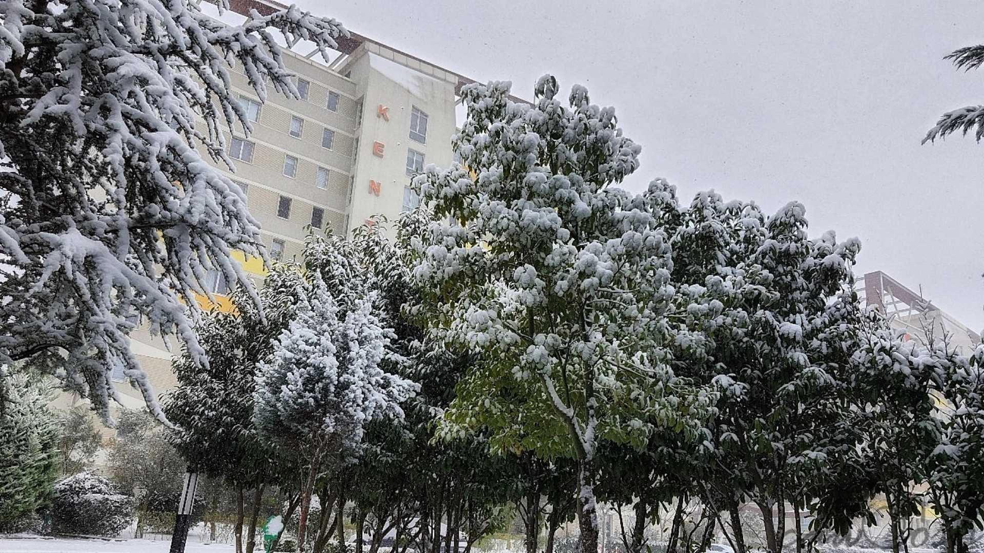 Karlı Günlerden 🌨️ 