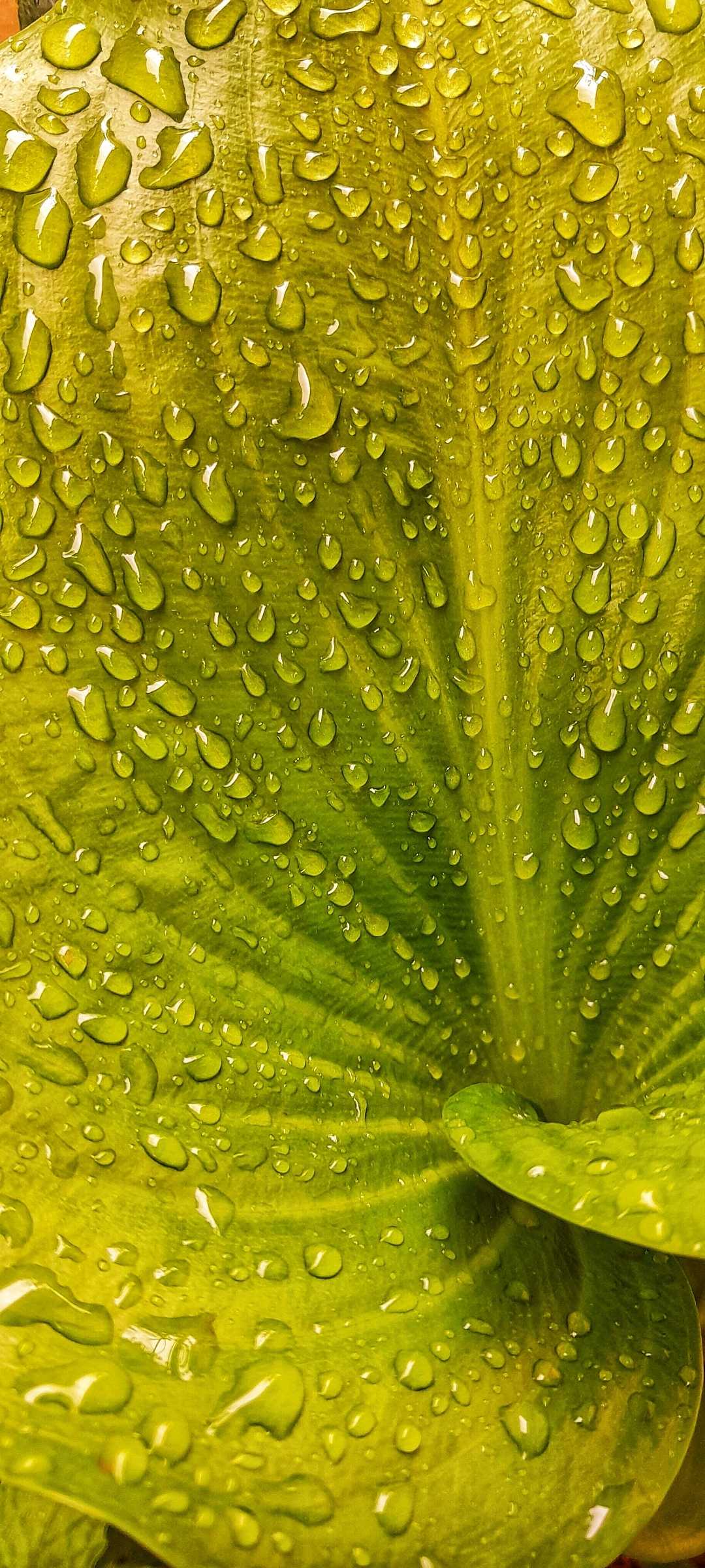 Droplets