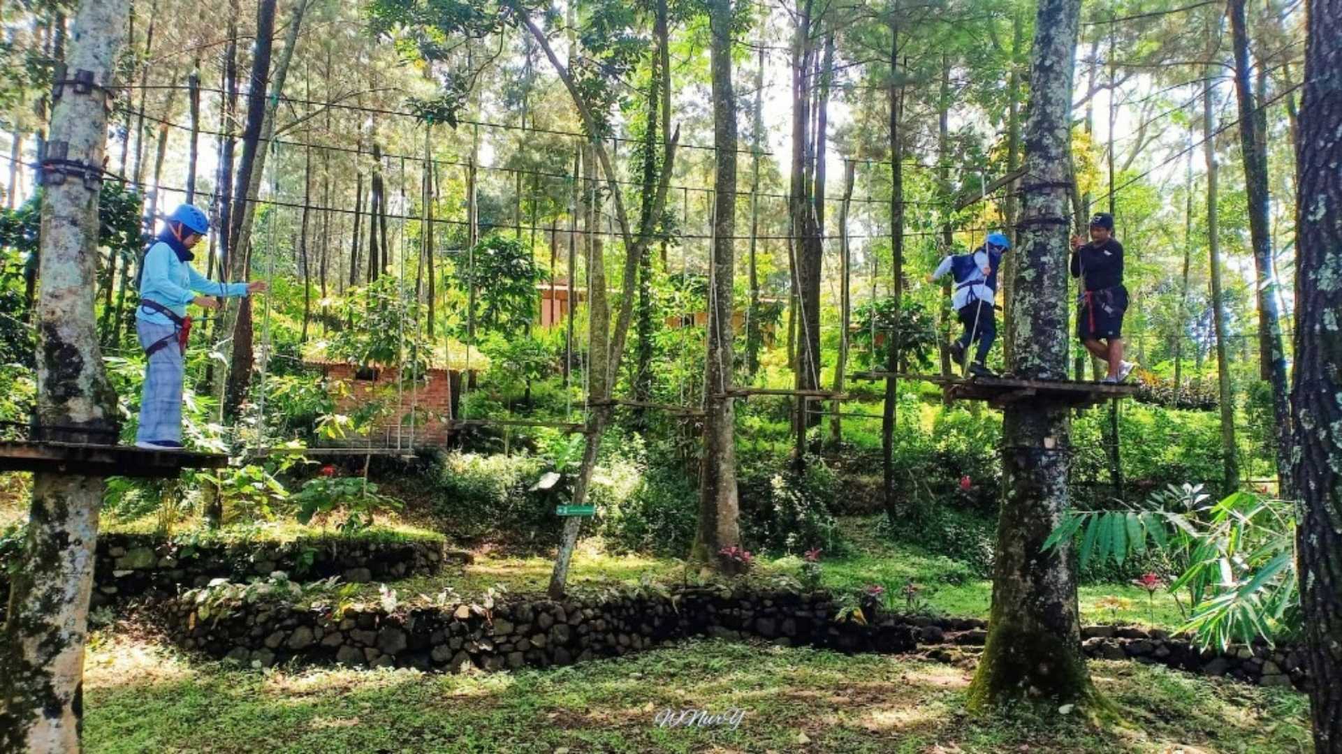 Hutan cempaka