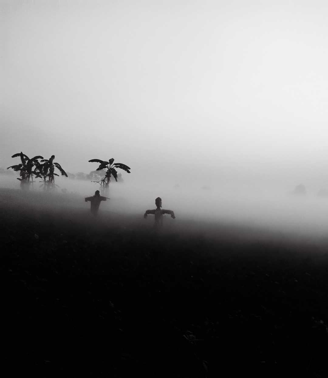 Foggy weather 