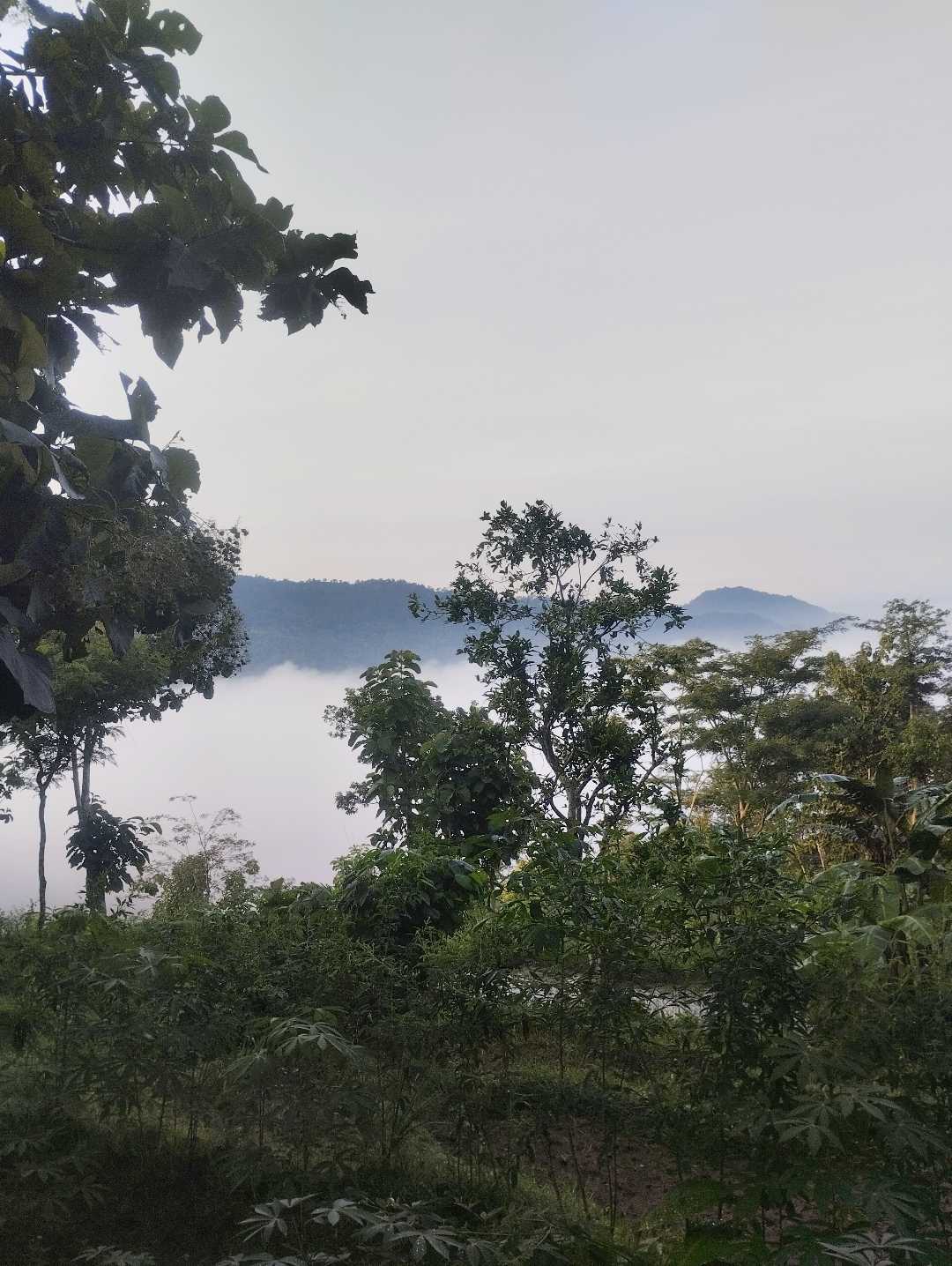 Pemandangan alam