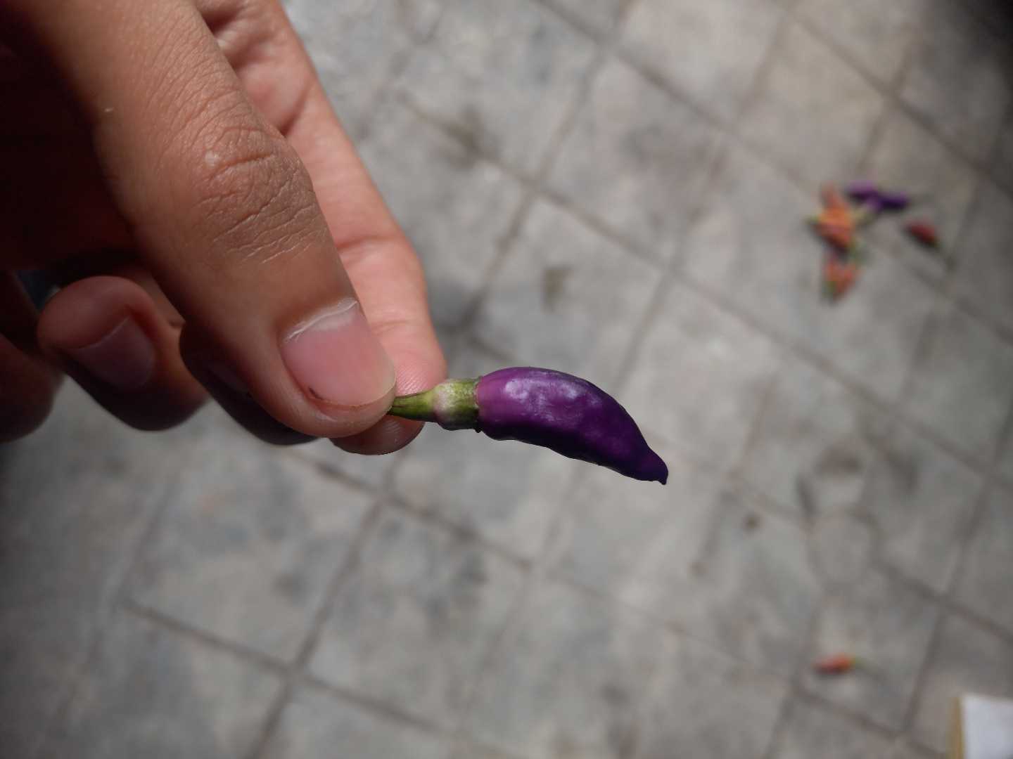 Super Spicy?