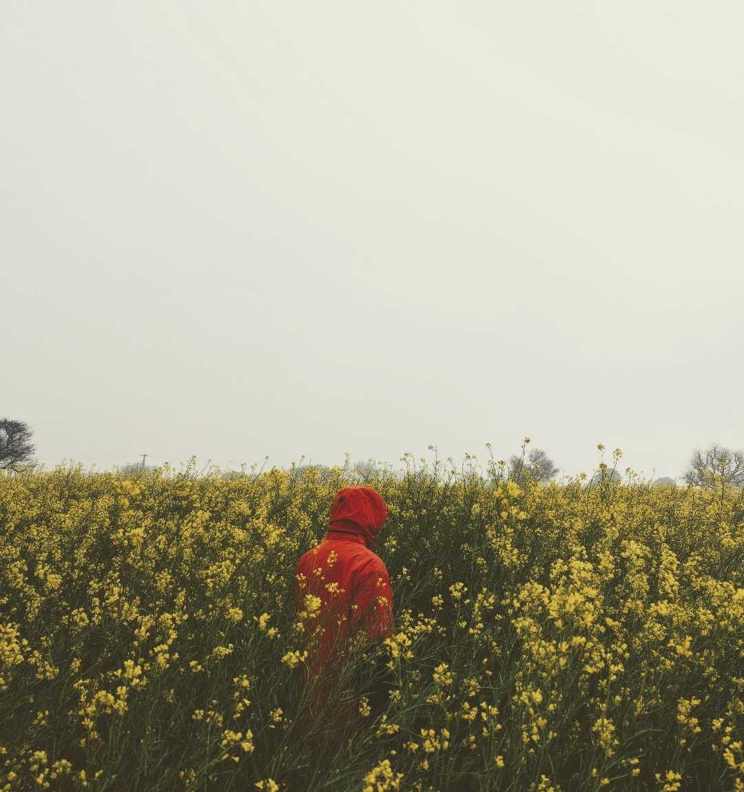 field farmer 
