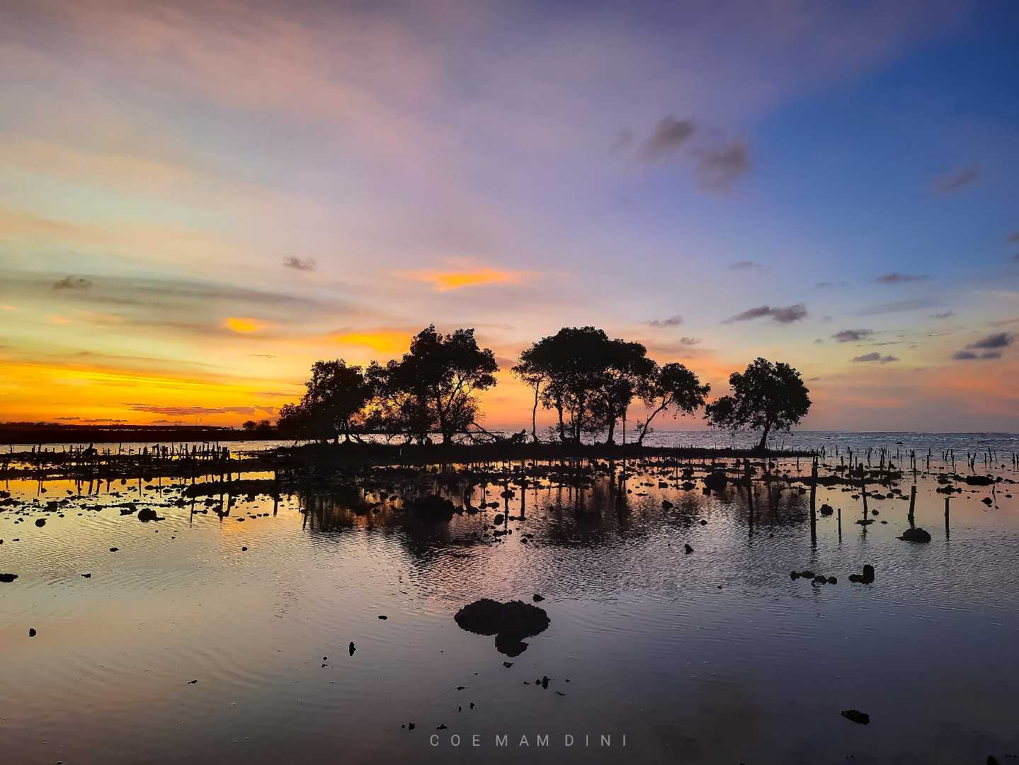 PESONA SENJA