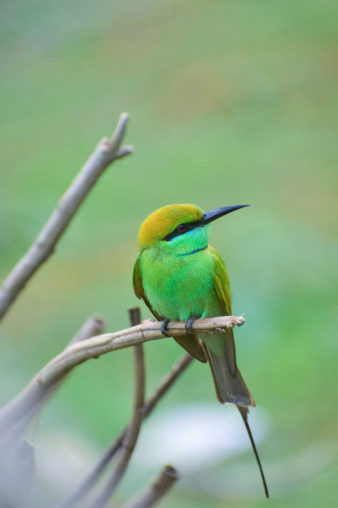 Refreshing beauty 