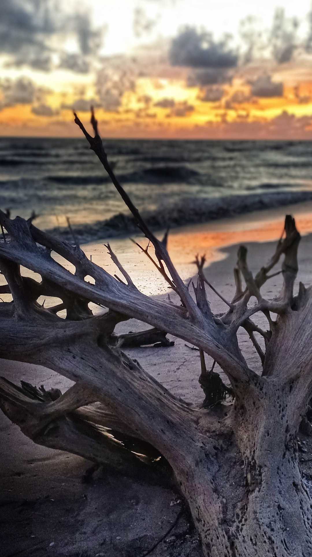 Lembayung Senja