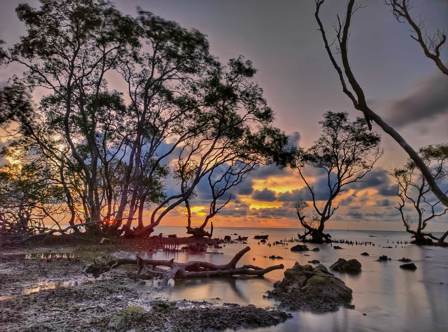 Hutan Bakau Mursodo