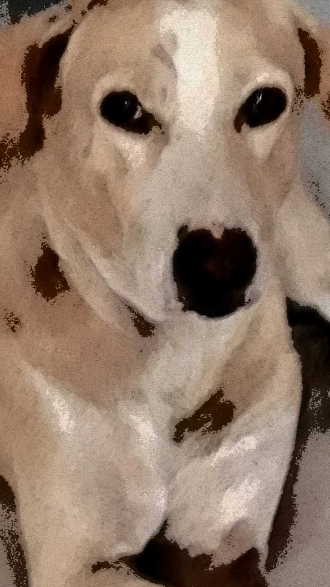 love in the eyes 