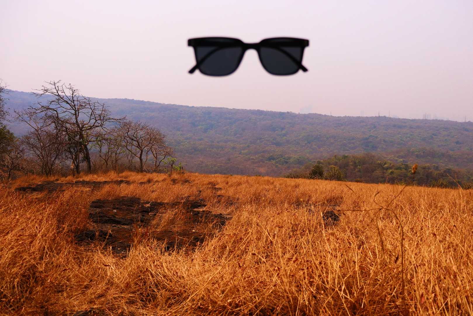 borivali kanheri cave 