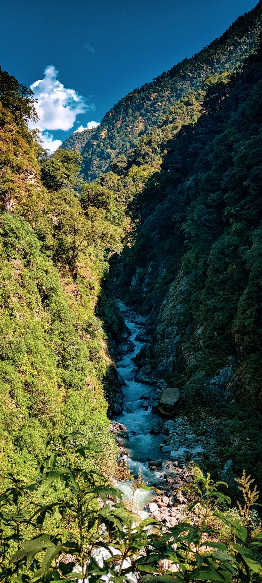 मंदाकिनी ❤️