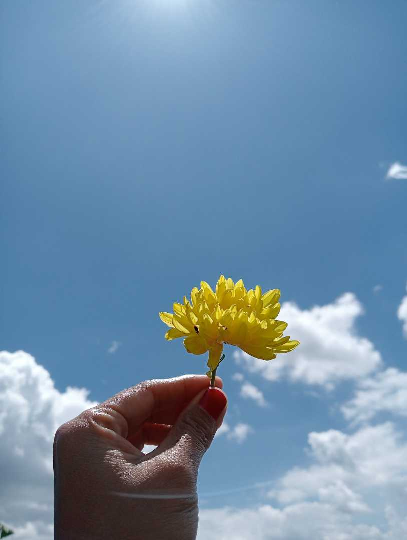 flower