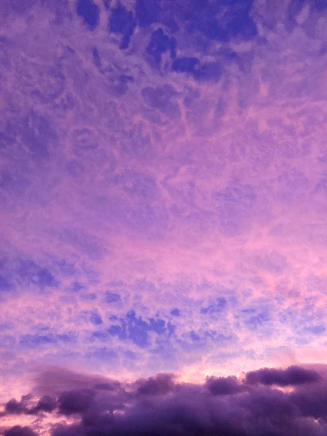 Colour of Nature 