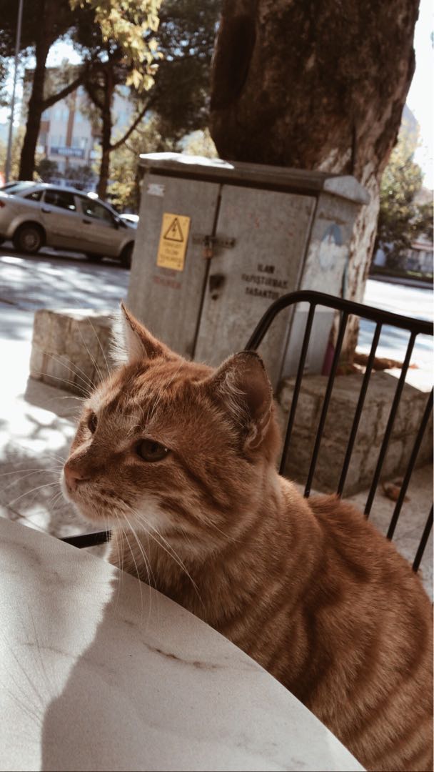 o zaman günün anlam ve önemini bu fotoğrafla anıyorum 