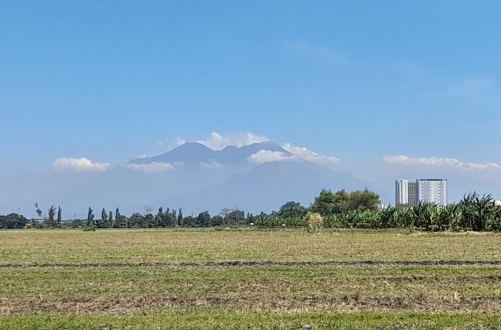 Landscape 