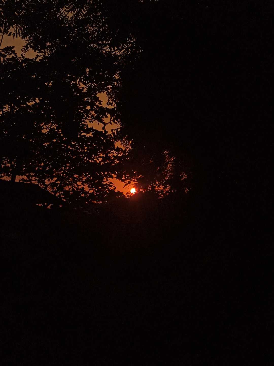 Sunset photography 🌞🧡