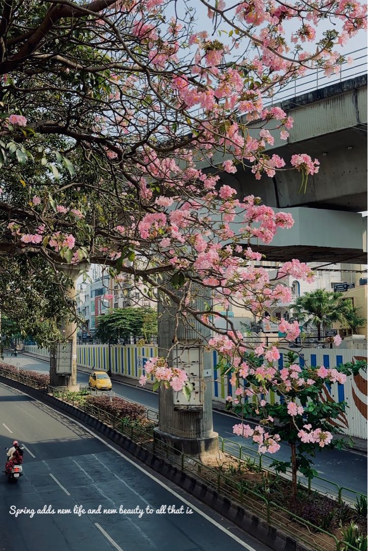 Spring