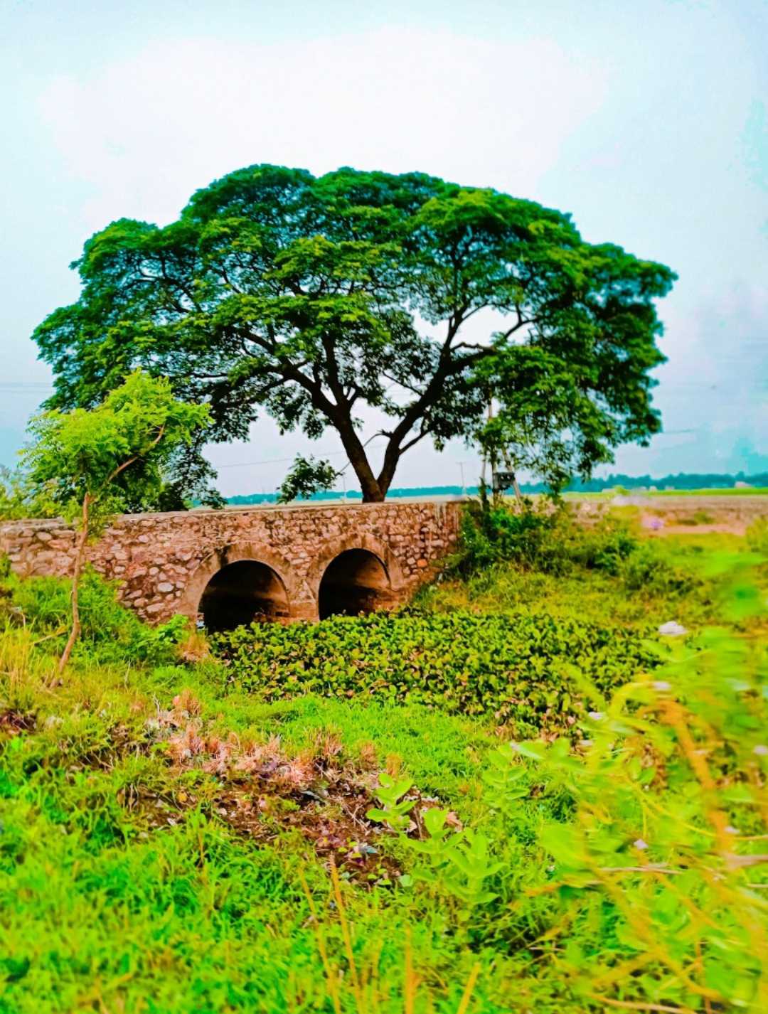 old bridge old memories
