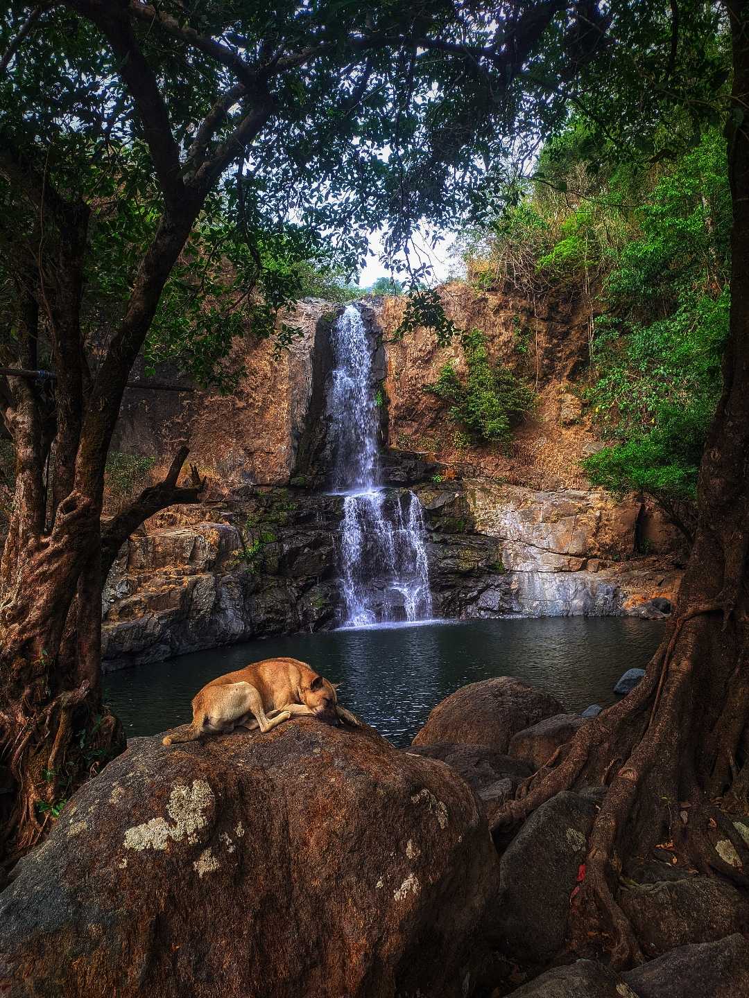 Rest with Amazing View